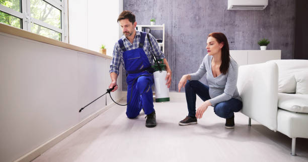 Professional Pest control in St Johns, MI